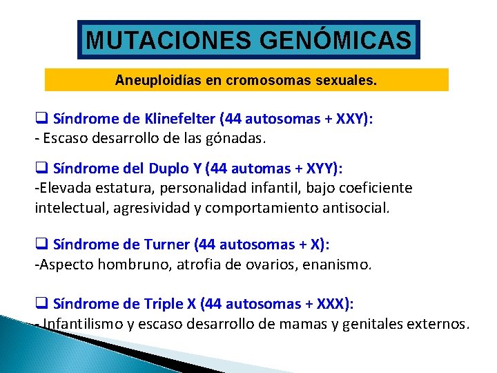 MUTACIONES GENÓMICAS Aneuploidías en cromosomas sexuales. q Síndrome de Klinefelter (44 autosomas + XXY):