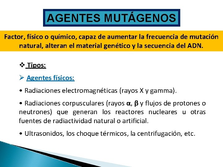 AGENTES MUTÁGENOS Factor, físico o químico, capaz de aumentar la frecuencia de mutación natural,