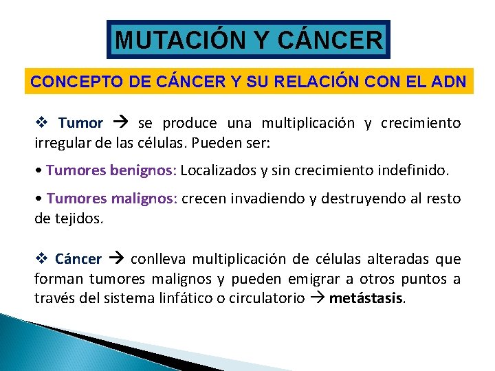 MUTACIÓN Y CÁNCER CONCEPTO DE CÁNCER Y SU RELACIÓN CON EL ADN v Tumor