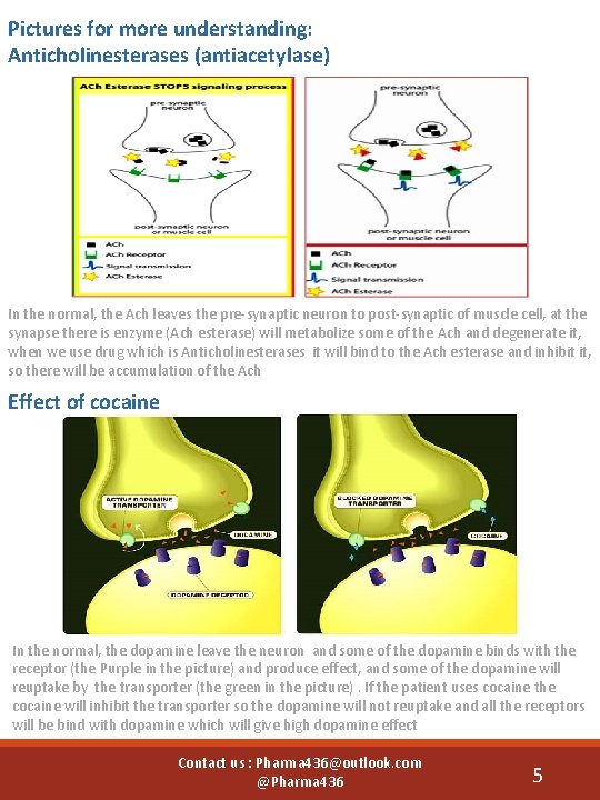 Pictures for more understanding: Anticholinesterases (antiacetylase) In the normal, the Ach leaves the pre-synaptic