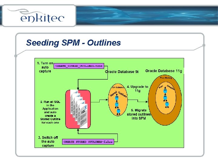 Seeding SPM - Outlines 