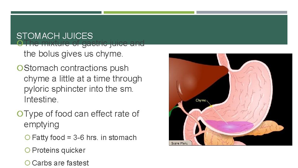 STOMACH JUICES The mixture of gastric juice and the bolus gives us chyme. Stomach