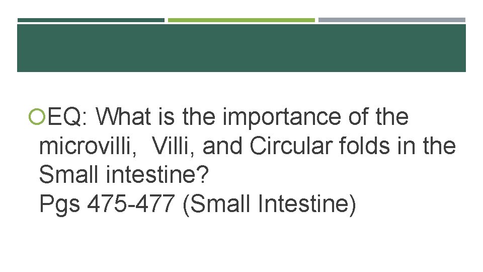  EQ: What is the importance of the microvilli, Villi, and Circular folds in
