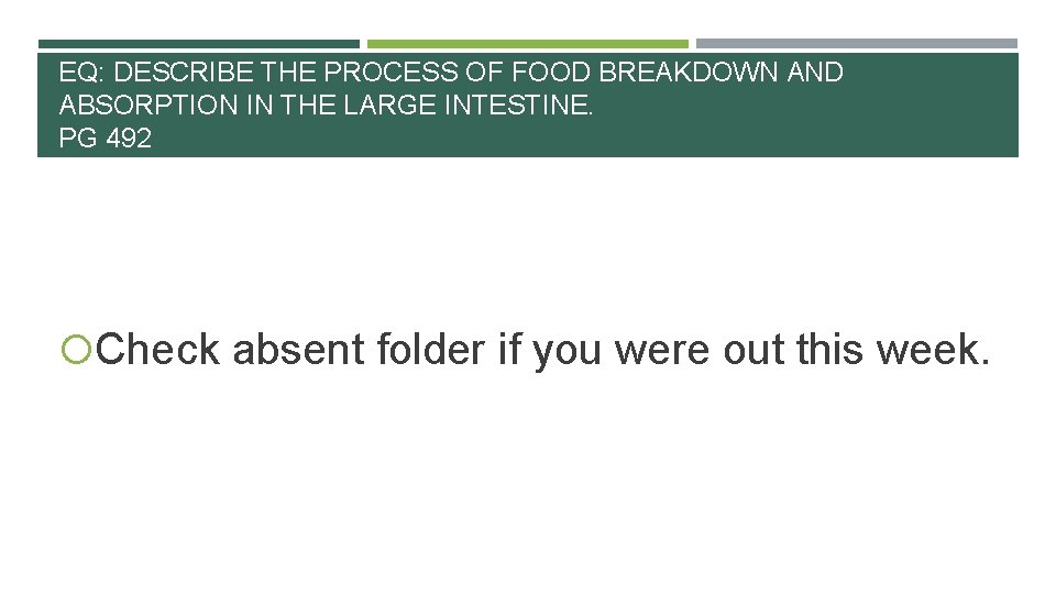 EQ: DESCRIBE THE PROCESS OF FOOD BREAKDOWN AND ABSORPTION IN THE LARGE INTESTINE. PG