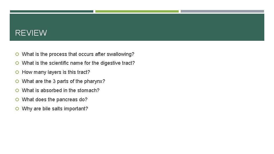 REVIEW What is the process that occurs after swallowing? What is the scientific name