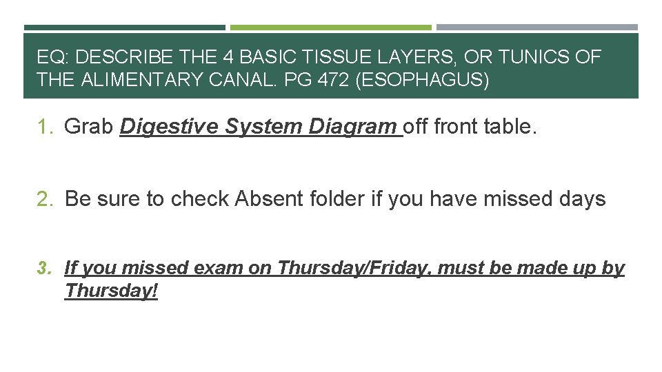 EQ: DESCRIBE THE 4 BASIC TISSUE LAYERS, OR TUNICS OF THE ALIMENTARY CANAL. PG