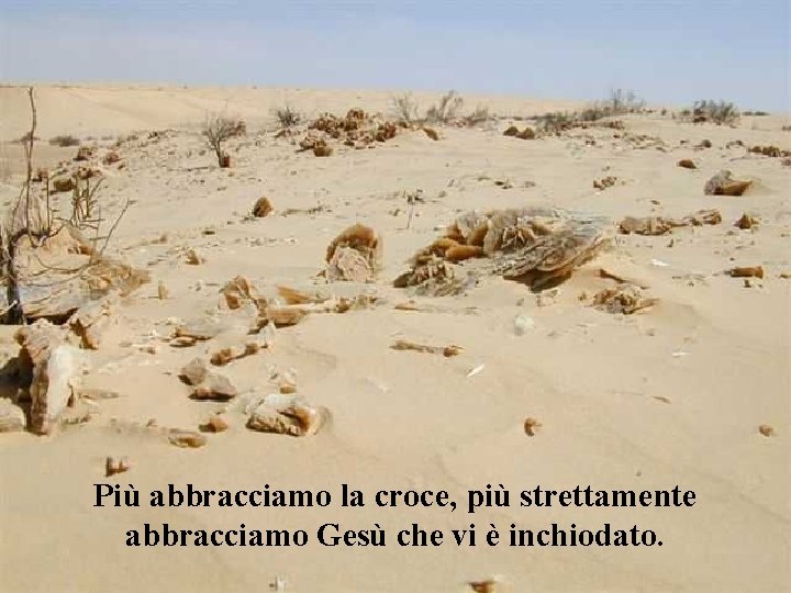 Più abbracciamo la croce, più strettamente abbracciamo Gesù che vi è inchiodato. 