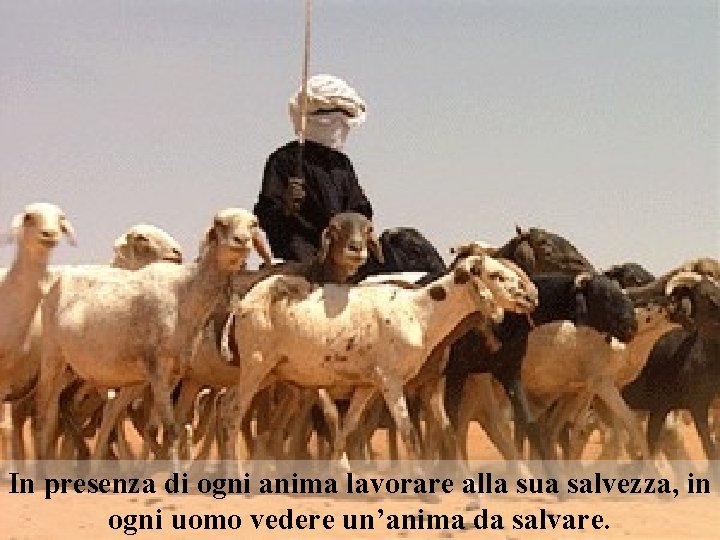 In presenza di ogni anima lavorare alla sua salvezza, in ogni uomo vedere un’anima