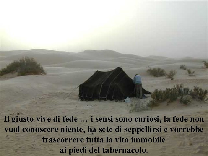 Il giusto vive di fede … i sensi sono curiosi, la fede non vuol