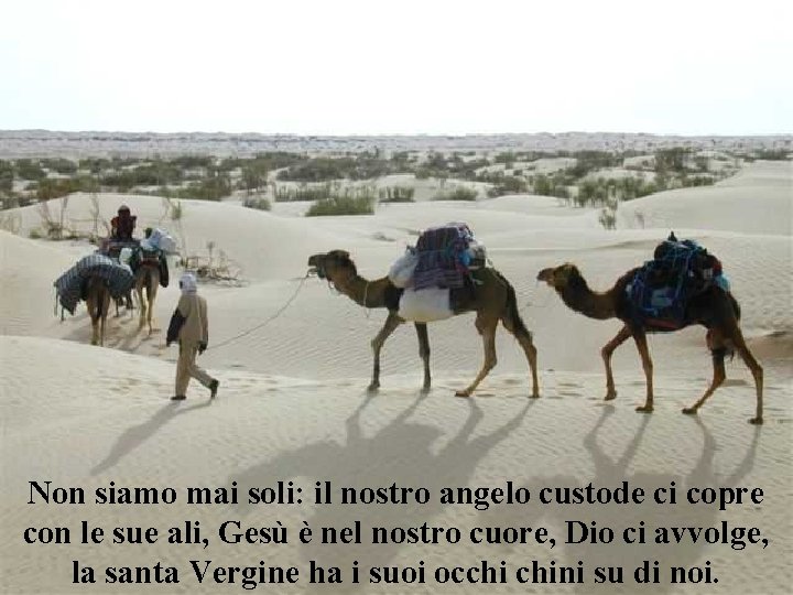 Non siamo mai soli: il nostro angelo custode ci copre con le sue ali,