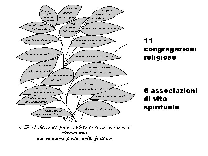 11 congregazioni religiose 8 associazioni di vita spirituale 