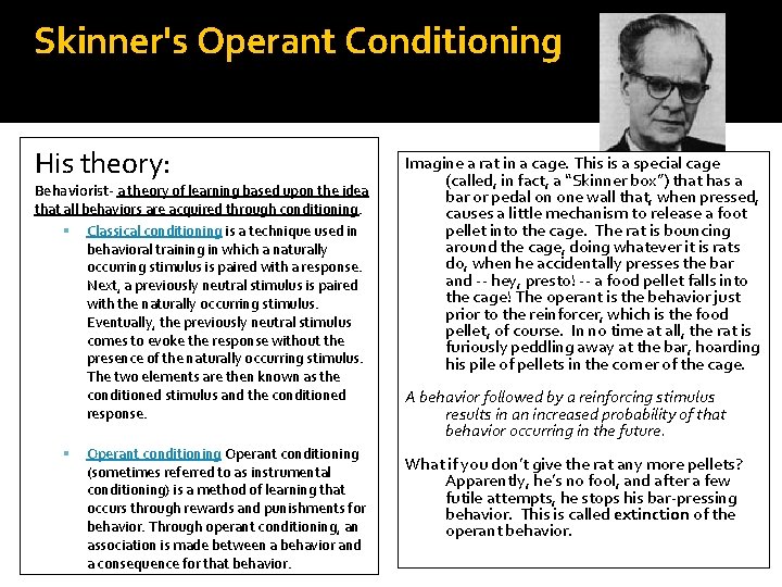 Skinner's Operant Conditioning His theory: Behaviorist- a theory of learning based upon the idea