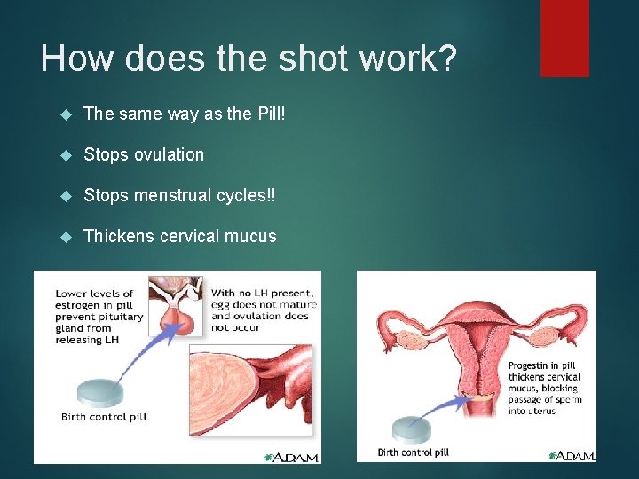 How does the shot work? The same way as the Pill! Stops ovulation Stops