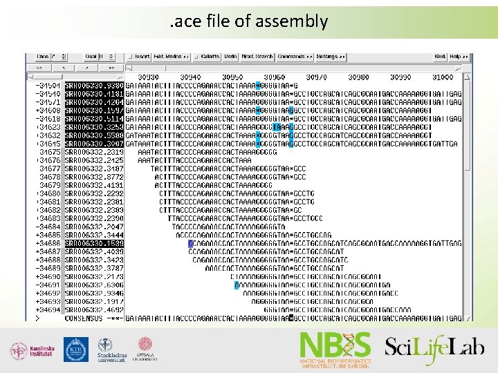 . ace file of assembly 