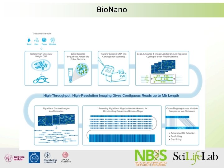 Bio. Nano 