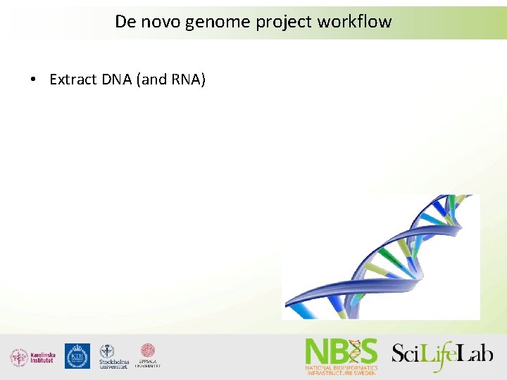 De novo genome project workflow • Extract DNA (and RNA) 