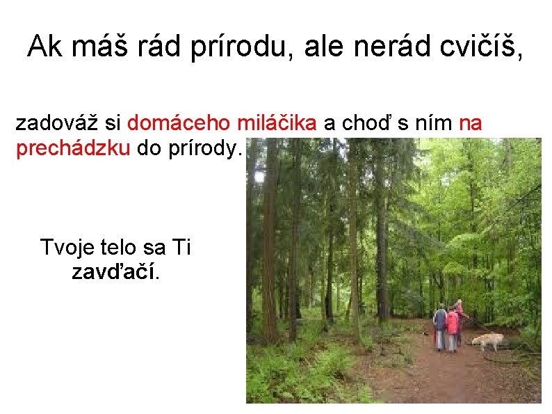 Ak máš rád prírodu, ale nerád cvičíš, zadováž si domáceho miláčika a choď s