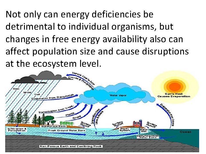 Not only can energy deficiencies be detrimental to individual organisms, but changes in free