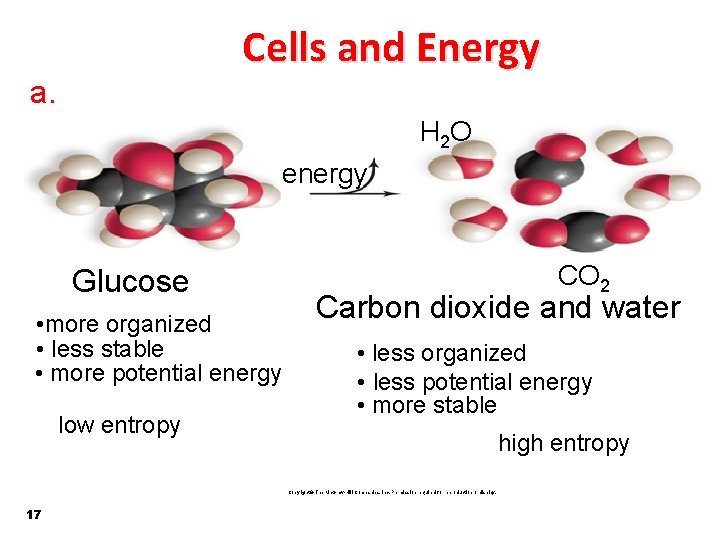 Cells and Energy a. H 2 O energy Glucose • more organized • less