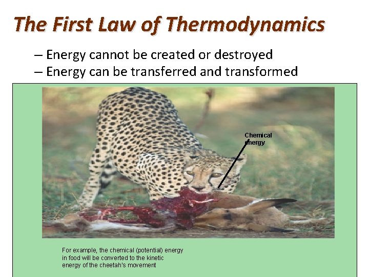 The First Law of Thermodynamics – Energy cannot be created or destroyed – Energy