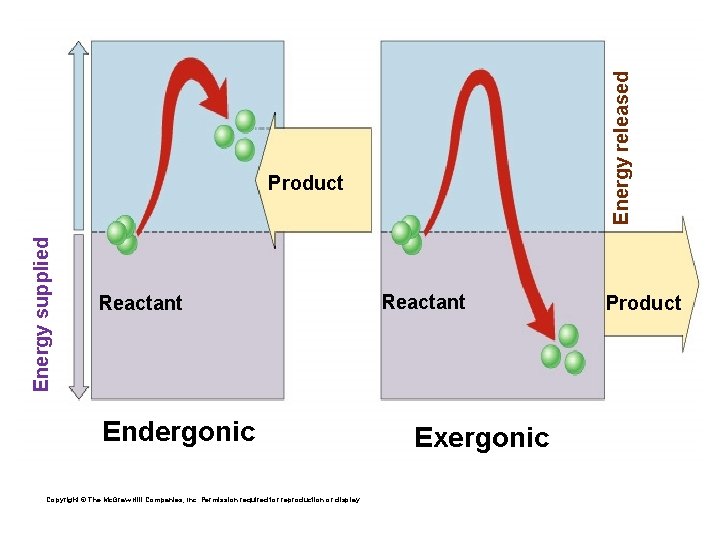 Energy supplied Energy released Product Reactant Endergonic Copyright © The Mc. Graw-Hill Companies, Inc.