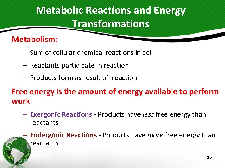 Metabolic Reactions and Energy Transformations Metabolism: – Sum of cellular chemical reactions in cell