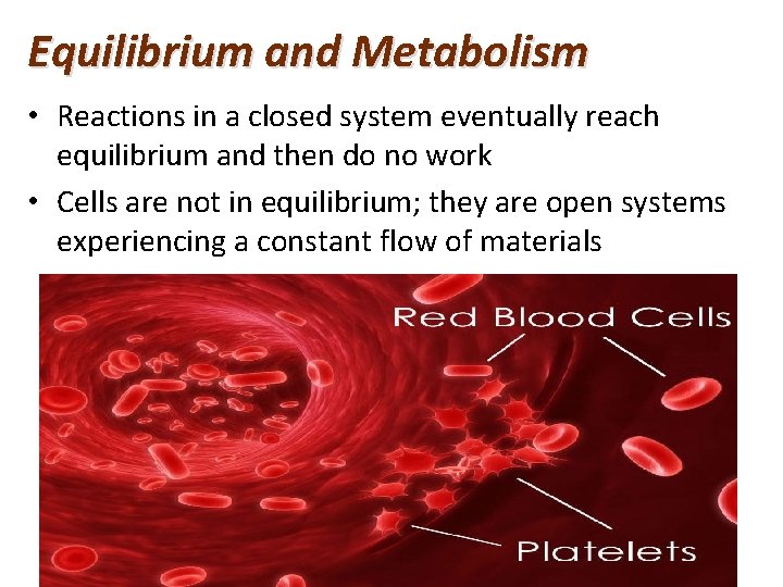 Equilibrium and Metabolism • Reactions in a closed system eventually reach equilibrium and then