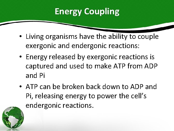 Energy Coupling • Living organisms have the ability to couple exergonic and endergonic reactions: