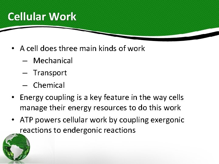 Cellular Work • A cell does three main kinds of work – Mechanical –