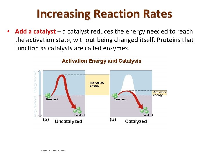 Increasing Reaction Rates • Add a catalyst – a catalyst reduces the energy needed
