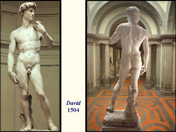 David 1504 