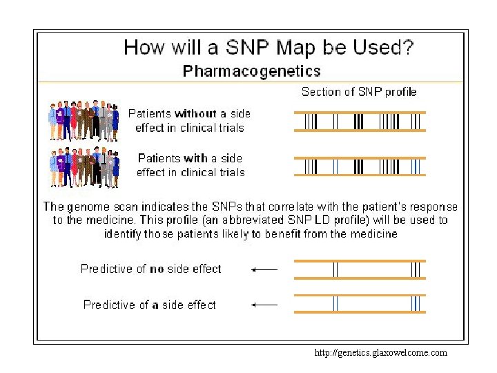 http: //genetics. glaxowelcome. com 
