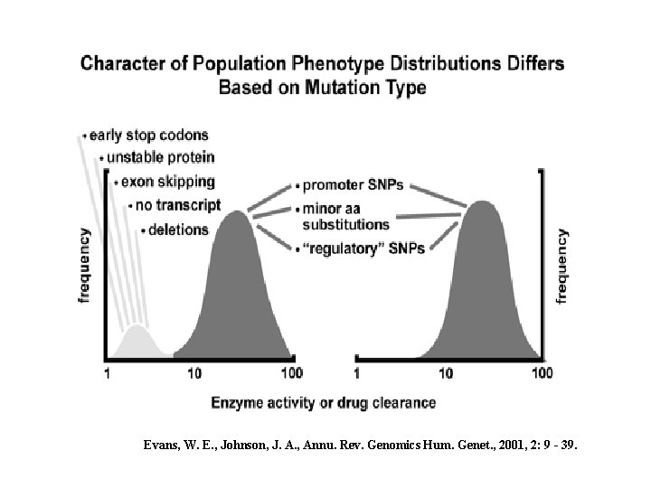 Evans, W. E. , Johnson, J. A. , Annu. Rev. Genomics Hum. Genet. ,
