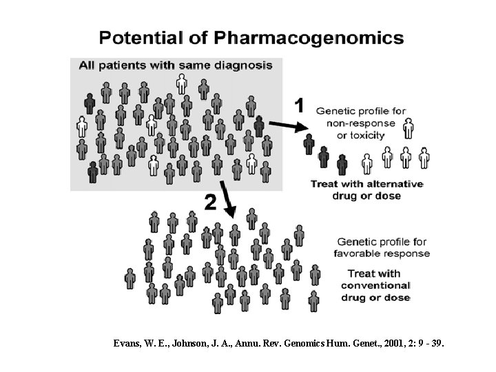 Evans, W. E. , Johnson, J. A. , Annu. Rev. Genomics Hum. Genet. ,