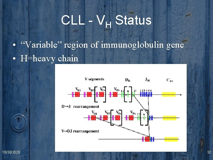 CLL - VH Status • “Variable” region of immunoglobulin gene • H=heavy chain 10/30/2020