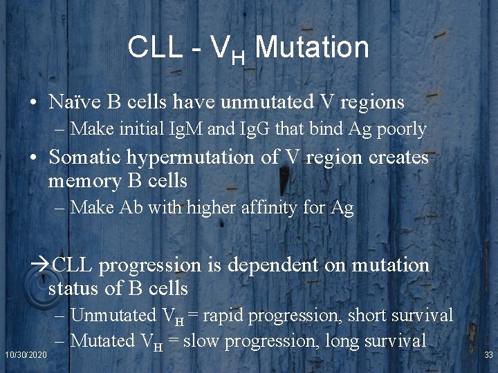 CLL - VH Mutation • Naïve B cells have unmutated V regions – Make