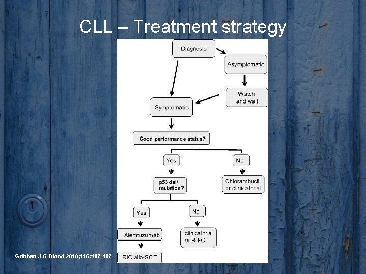 CLL – Treatment strategy Gribben J G Blood 2010; 115: 187 -197 