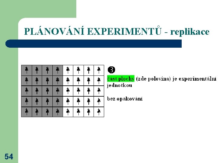 PLÁNOVÁNÍ EXPERIMENTŮ - replikace 54 