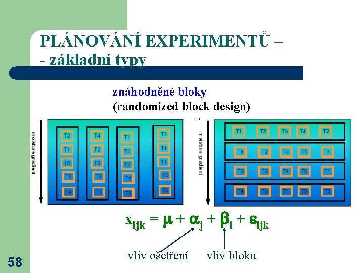 PLÁNOVÁNÍ EXPERIMENTŮ – - základní typy znáhodněné bloky (randomized block design) xijk = +