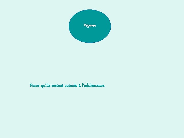 Réponse Parce qu'ils restent coincés à l'adolescence. 