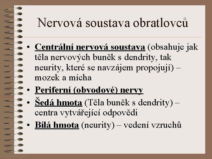 Nervová soustava obratlovců • Centrální nervová soustava (obsahuje jak těla nervových buněk s dendrity,