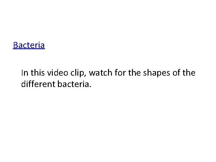 Bacteria In this video clip, watch for the shapes of the different bacteria. 