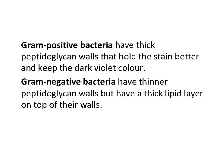 Gram-positive bacteria have thick peptidoglycan walls that hold the stain better and keep the