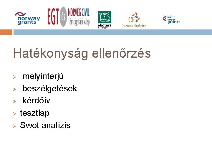 Hatékonyság ellenőrzés Ø Ø Ø mélyinterjú beszélgetések kérdőív tesztlap Swot analízis 