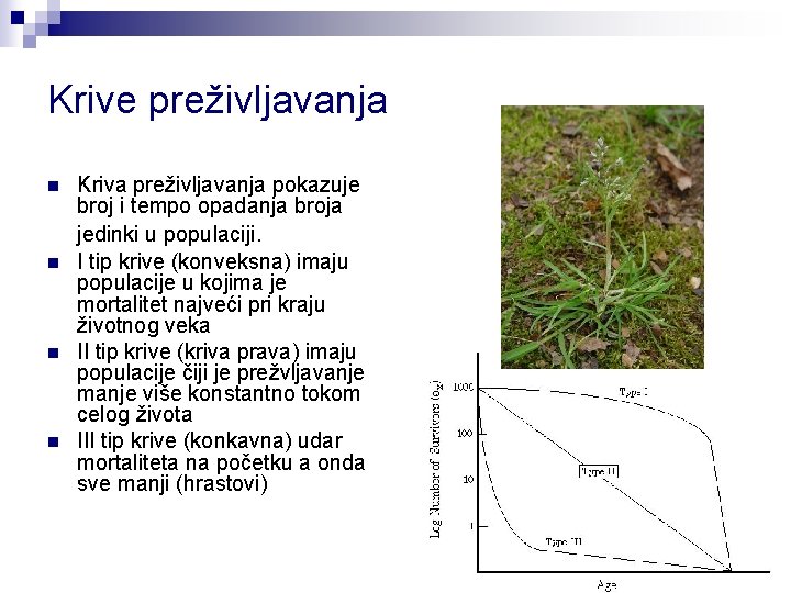 Krive preživljavanja n n Kriva preživljavanja pokazuje broj i tempo opadanja broja jedinki u