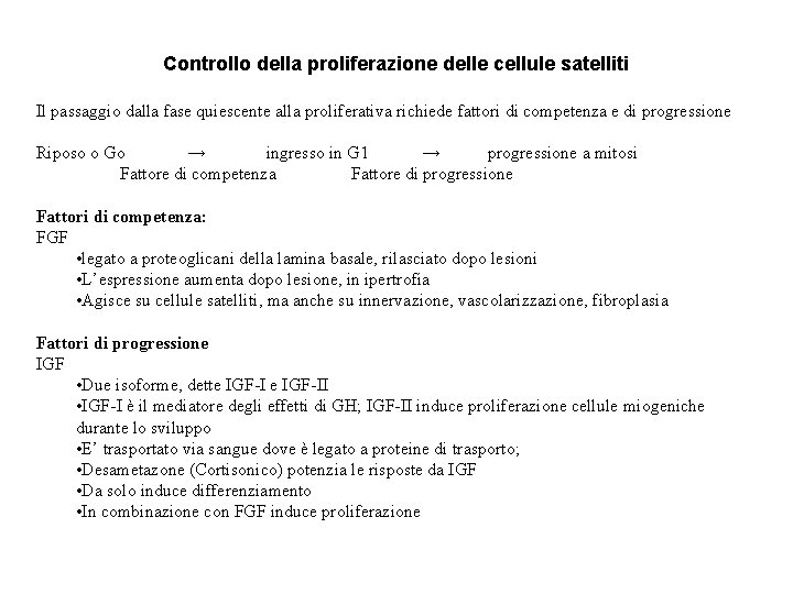 Controllo della proliferazione delle cellule satelliti Il passaggio dalla fase quiescente alla proliferativa richiede