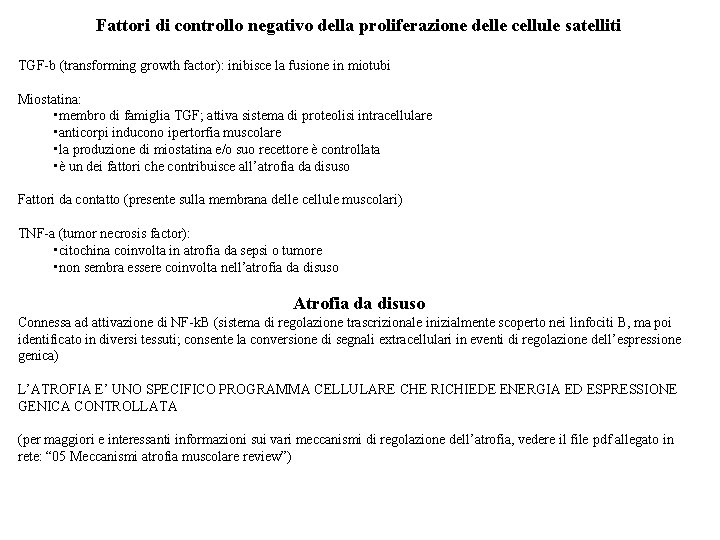 Fattori di controllo negativo della proliferazione delle cellule satelliti TGF-b (transforming growth factor): inibisce