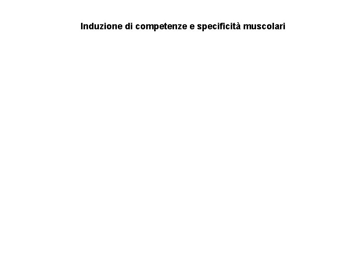 Induzione di competenze e specificità muscolari 