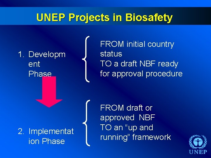 UNEP Projects in Biosafety 1. Developm ent Phase FROM initial country status TO a