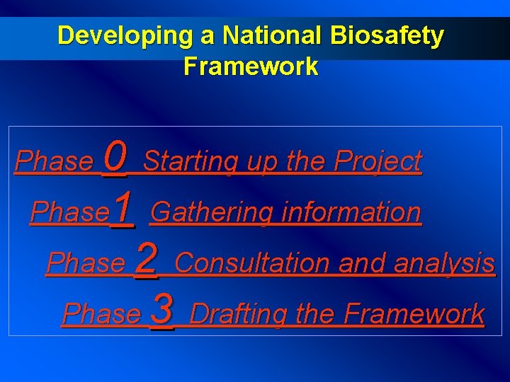 Developing a National Biosafety Framework Phase 0 Starting up the Project Phase 1 Gathering